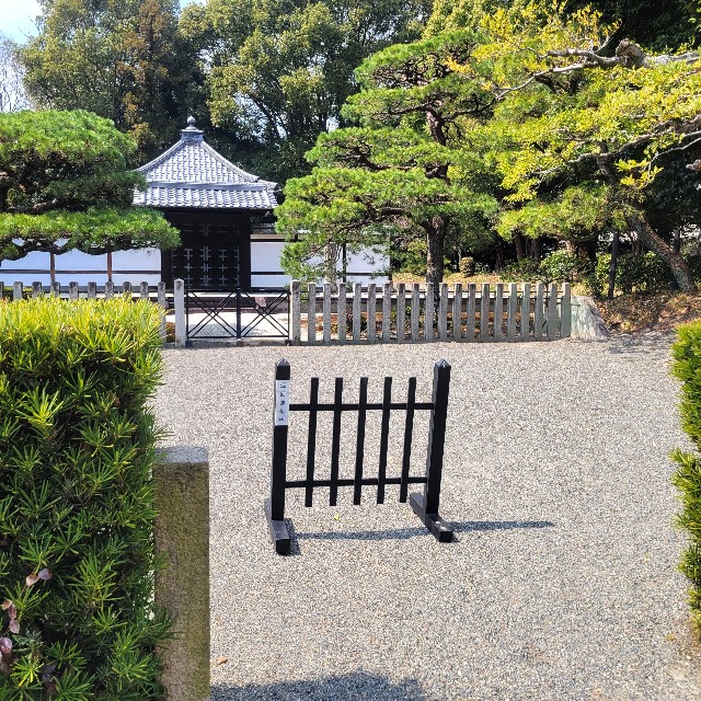 f:id:atoriatoriatori:20250328074547j:image