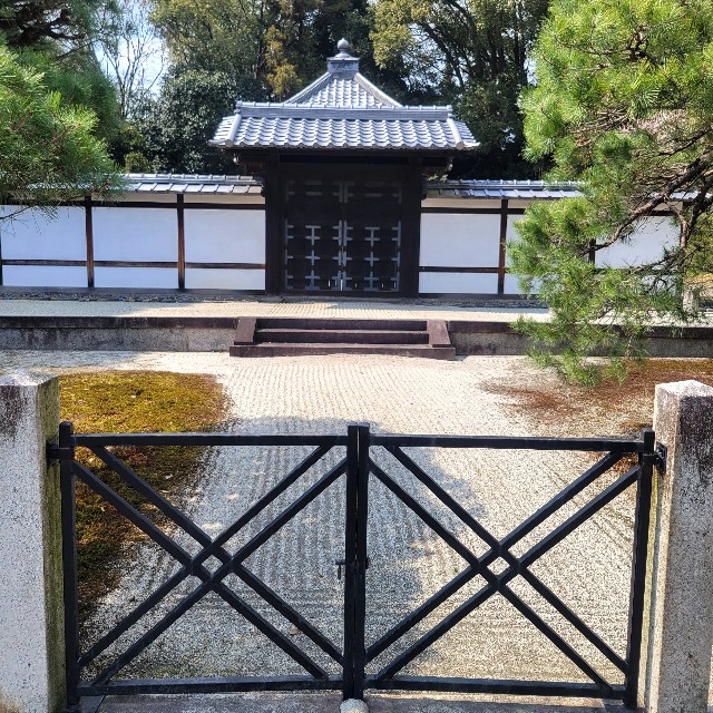 f:id:atoriatoriatori:20250328075120j:image