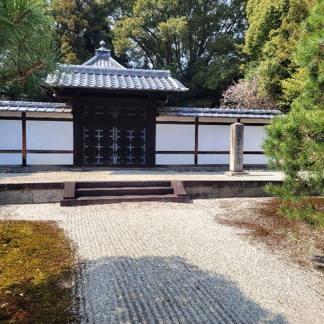 f:id:atoriatoriatori:20250328075147j:image