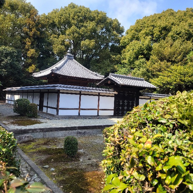 f:id:atoriatoriatori:20250328075156j:image