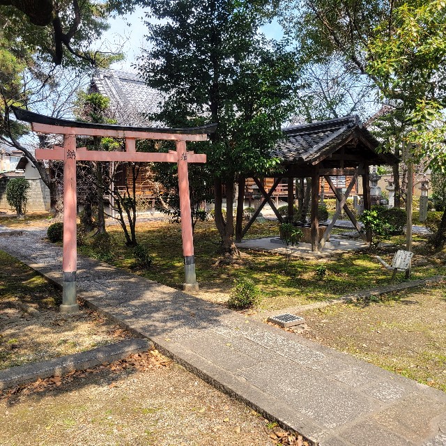 f:id:atoriatoriatori:20250328075533j:image