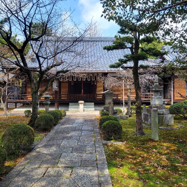 f:id:atoriatoriatori:20250328075551j:image