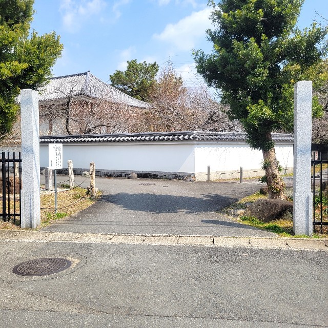 f:id:atoriatoriatori:20250328085501j:image