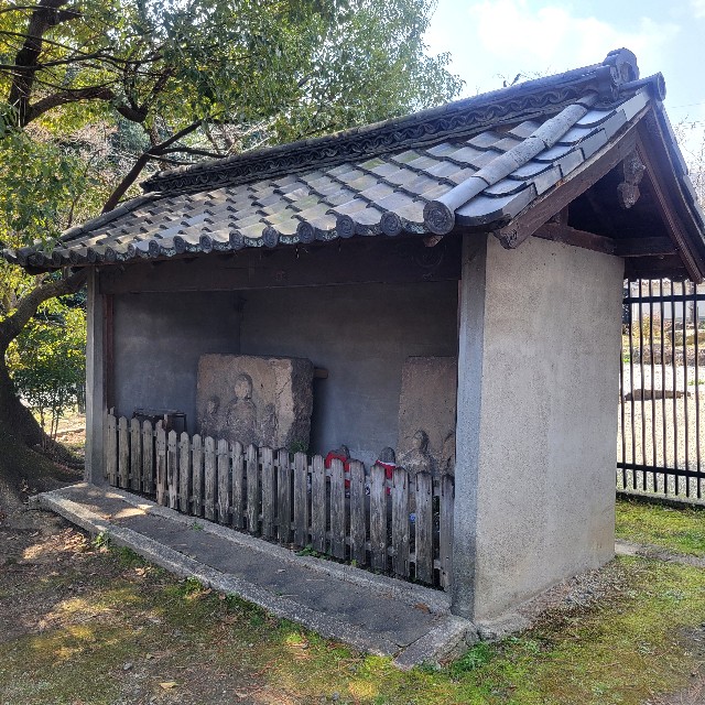 f:id:atoriatoriatori:20250328091131j:image