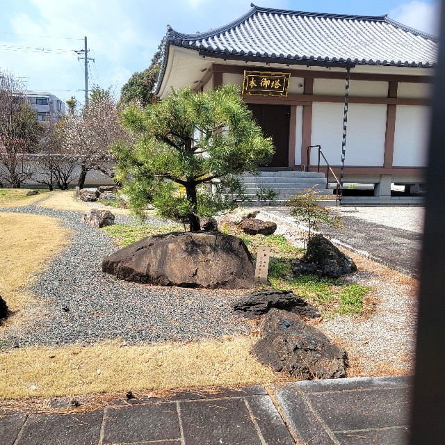 f:id:atoriatoriatori:20250328123658j:image
