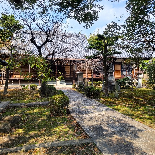 f:id:atoriatoriatori:20250328135919j:image