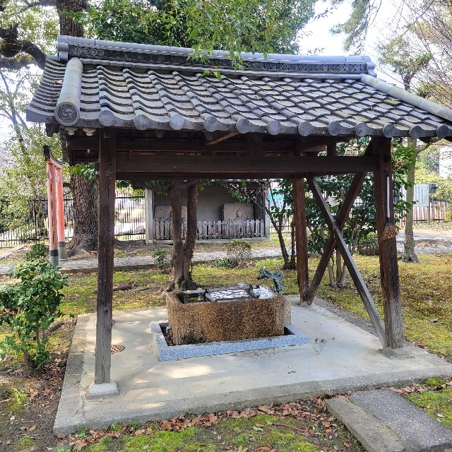 f:id:atoriatoriatori:20250328140353j:image
