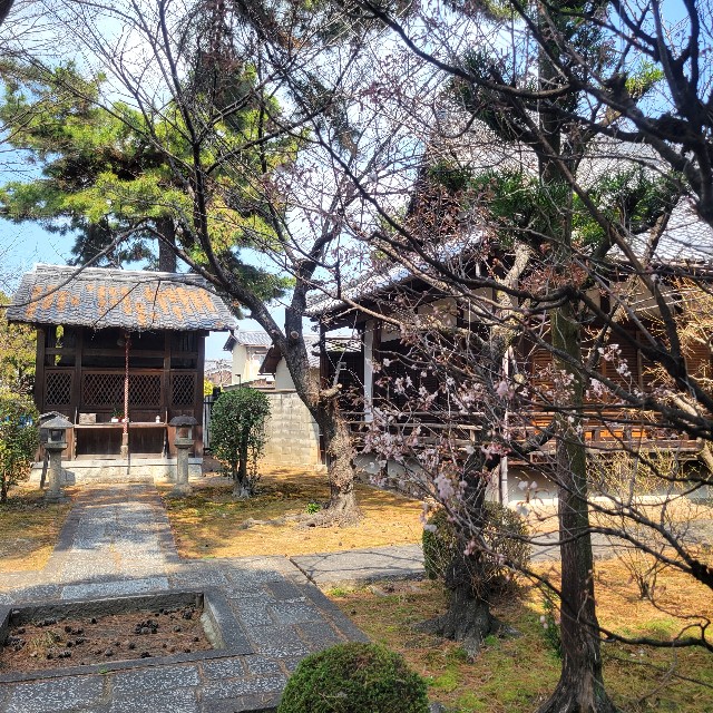 f:id:atoriatoriatori:20250328141457j:image