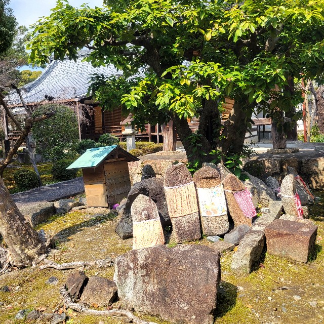 f:id:atoriatoriatori:20250328145228j:image