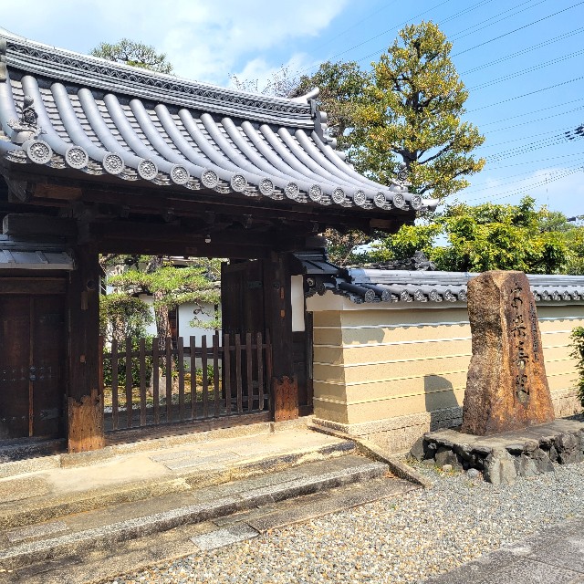 f:id:atoriatoriatori:20250328145245j:image