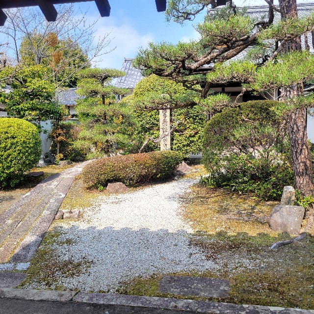 f:id:atoriatoriatori:20250328145255j:image