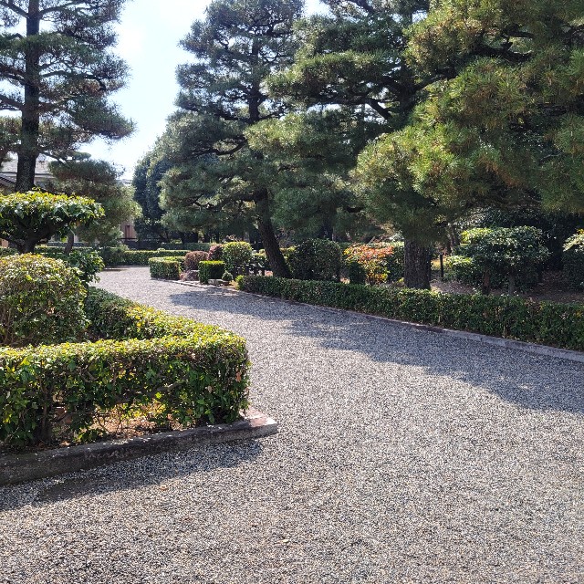 f:id:atoriatoriatori:20250328151255j:image