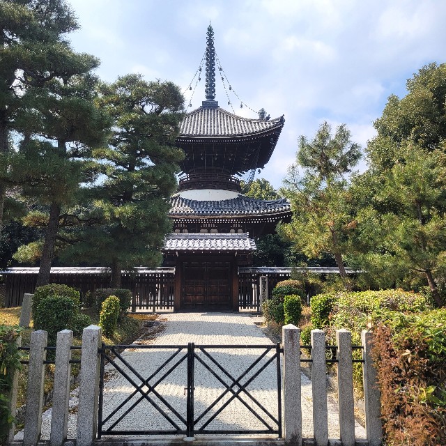 f:id:atoriatoriatori:20250328151325j:image