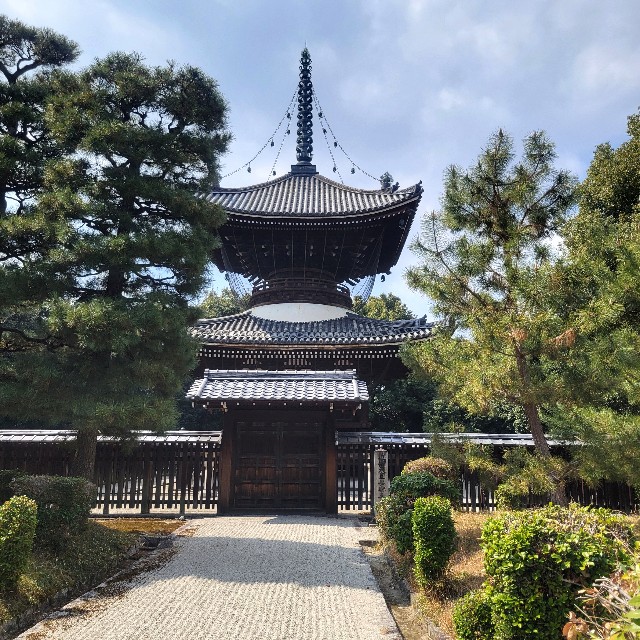 f:id:atoriatoriatori:20250328151337j:image