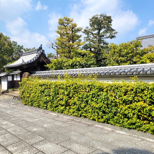 f:id:atoriatoriatori:20250328151347j:image