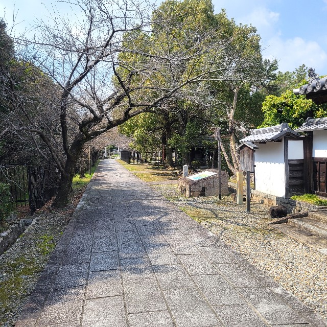 f:id:atoriatoriatori:20250328151406j:image