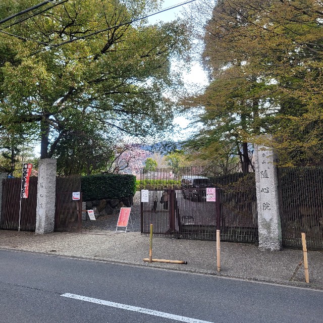 f:id:atoriatoriatori:20250330201835j:image