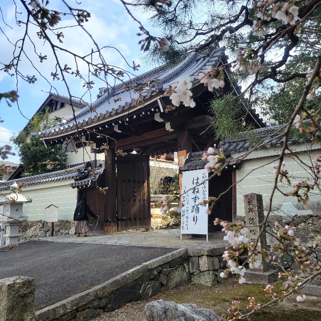 f:id:atoriatoriatori:20250330201901j:image