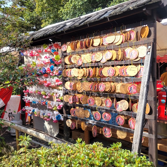 f:id:atoriatoriatori:20250331082357j:image