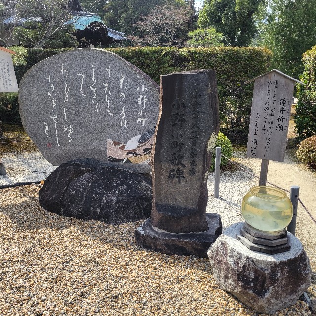 f:id:atoriatoriatori:20250331090818j:image