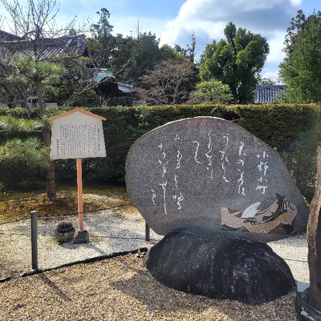 f:id:atoriatoriatori:20250331090826j:image