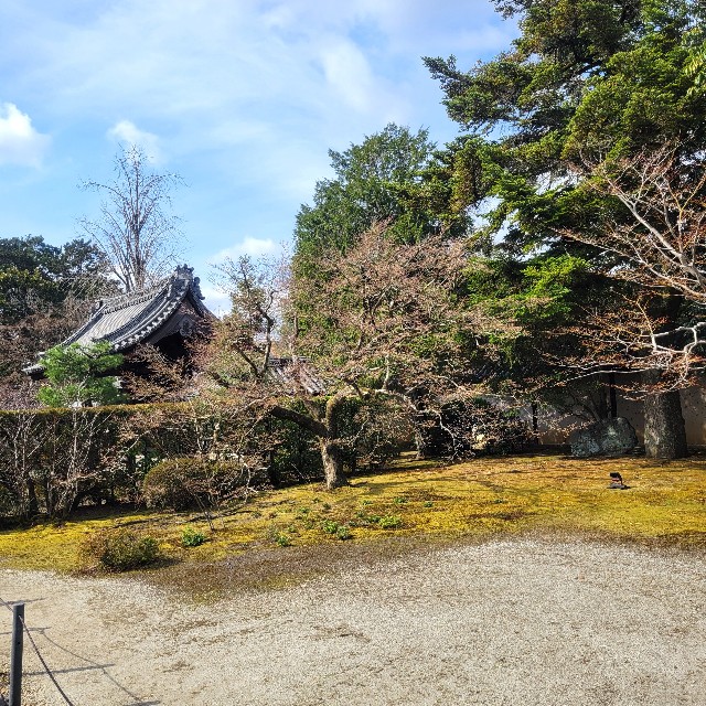 f:id:atoriatoriatori:20250331091829j:image
