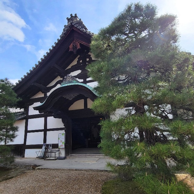 f:id:atoriatoriatori:20250331091915j:image