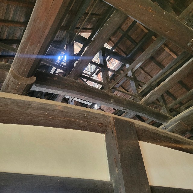 f:id:atoriatoriatori:20250331094317j:image
