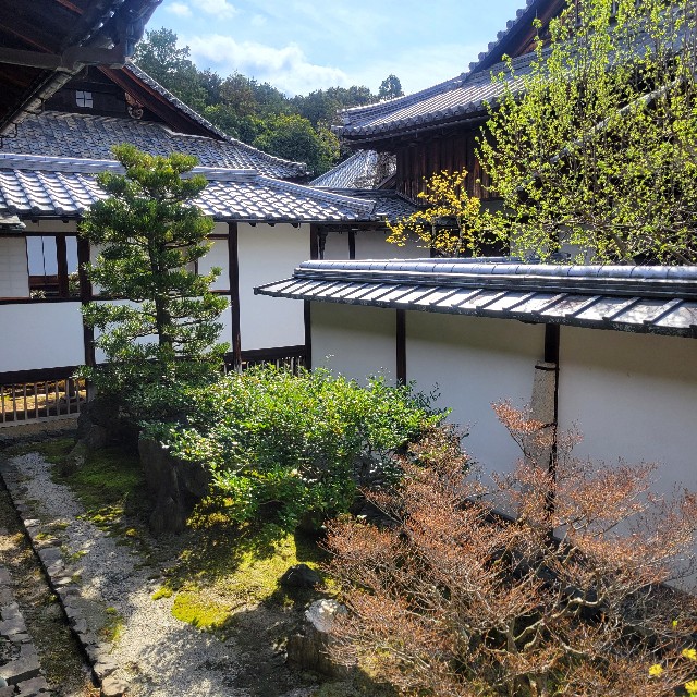 f:id:atoriatoriatori:20250331094840j:image