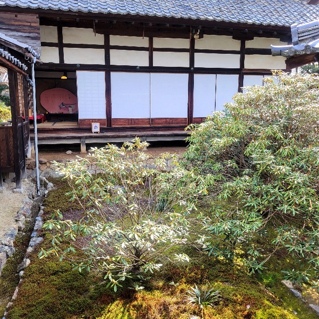 f:id:atoriatoriatori:20250331094849j:image