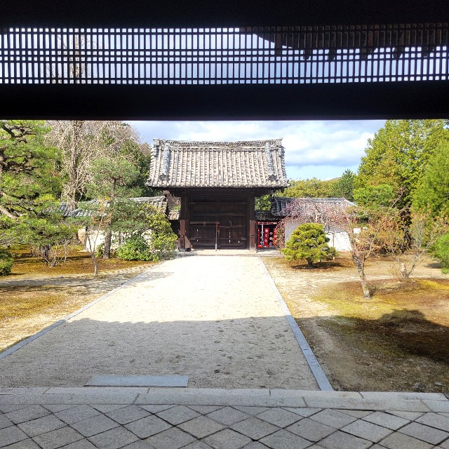 f:id:atoriatoriatori:20250331102302j:image