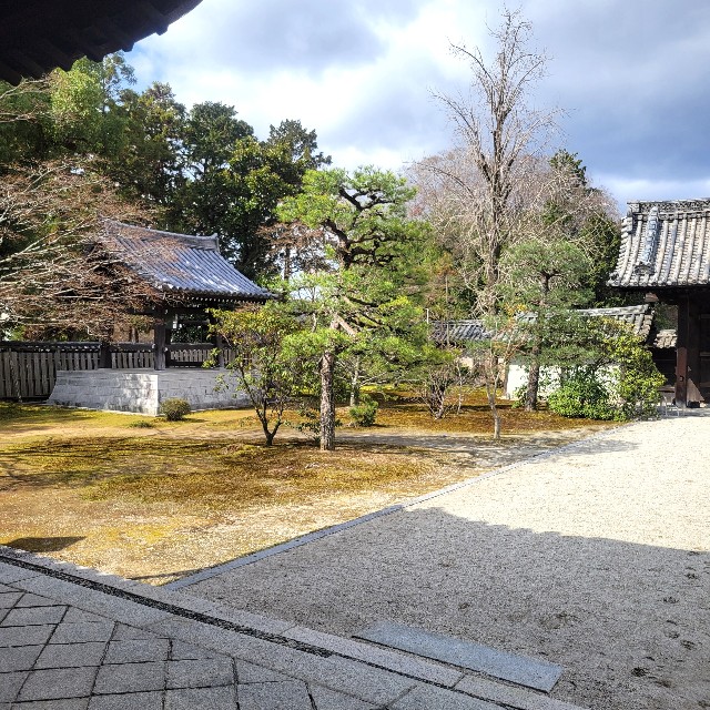 f:id:atoriatoriatori:20250331102312j:image