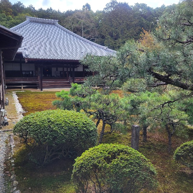 f:id:atoriatoriatori:20250331105027j:image