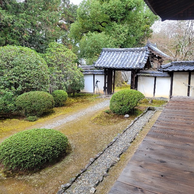 f:id:atoriatoriatori:20250331105146j:image