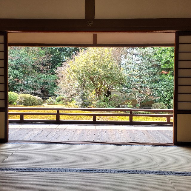 f:id:atoriatoriatori:20250401083621j:image