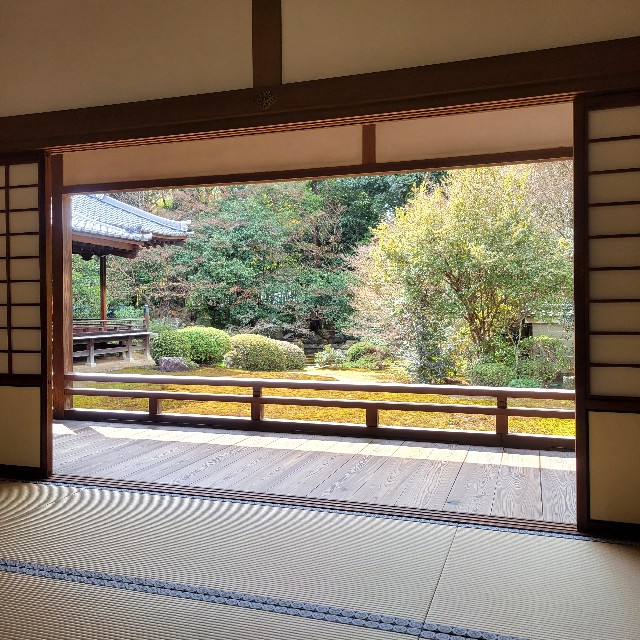 f:id:atoriatoriatori:20250401083629j:image