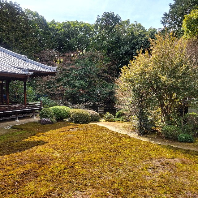 f:id:atoriatoriatori:20250401083638j:image