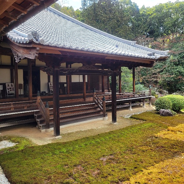 f:id:atoriatoriatori:20250401085221j:image