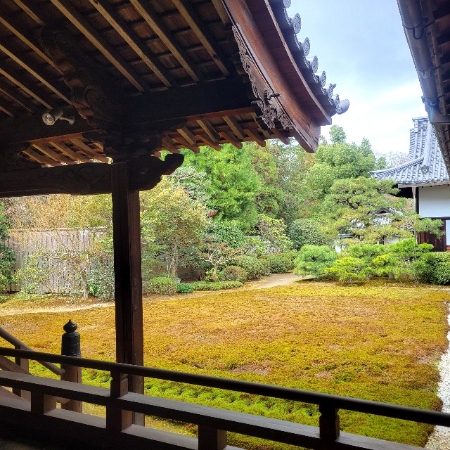 f:id:atoriatoriatori:20250401095537j:image