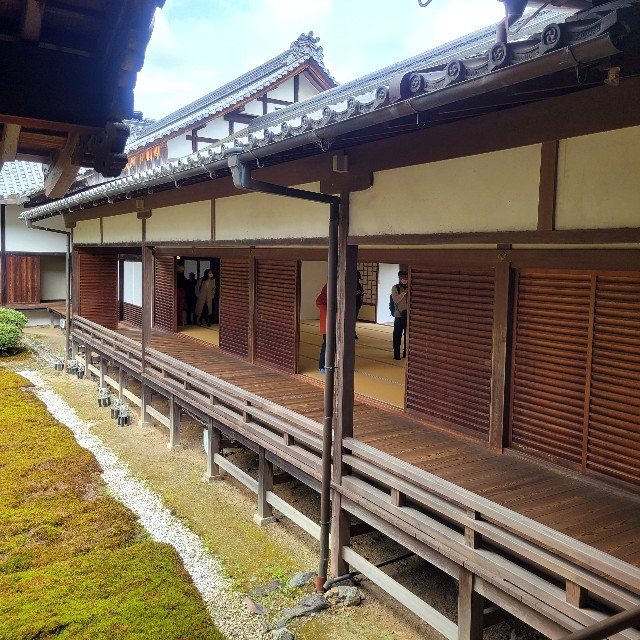 f:id:atoriatoriatori:20250401095555j:image