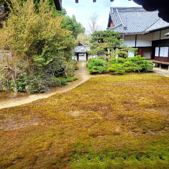 f:id:atoriatoriatori:20250401095628j:image