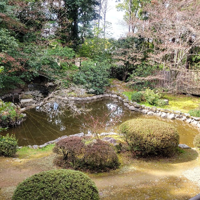f:id:atoriatoriatori:20250401095636j:image