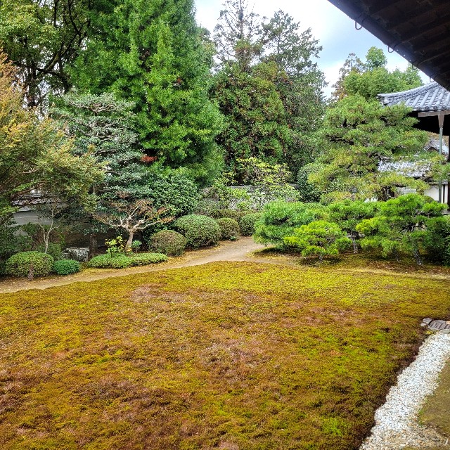f:id:atoriatoriatori:20250401095903j:image