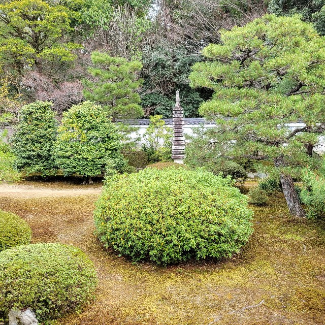 f:id:atoriatoriatori:20250401103151j:image