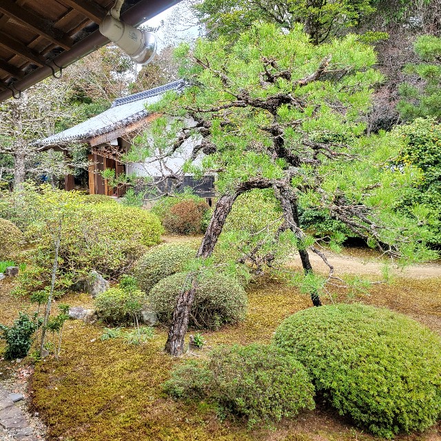 f:id:atoriatoriatori:20250401103224j:image
