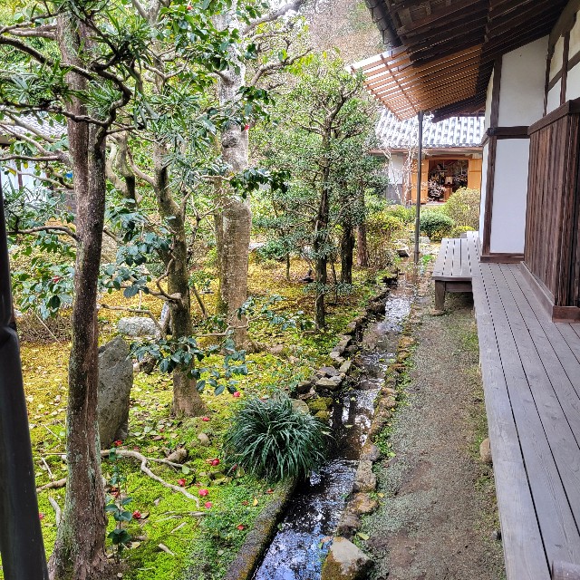 f:id:atoriatoriatori:20250401121109j:image