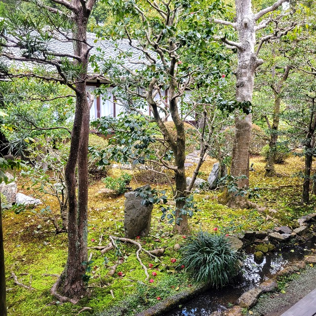 f:id:atoriatoriatori:20250401121116j:image