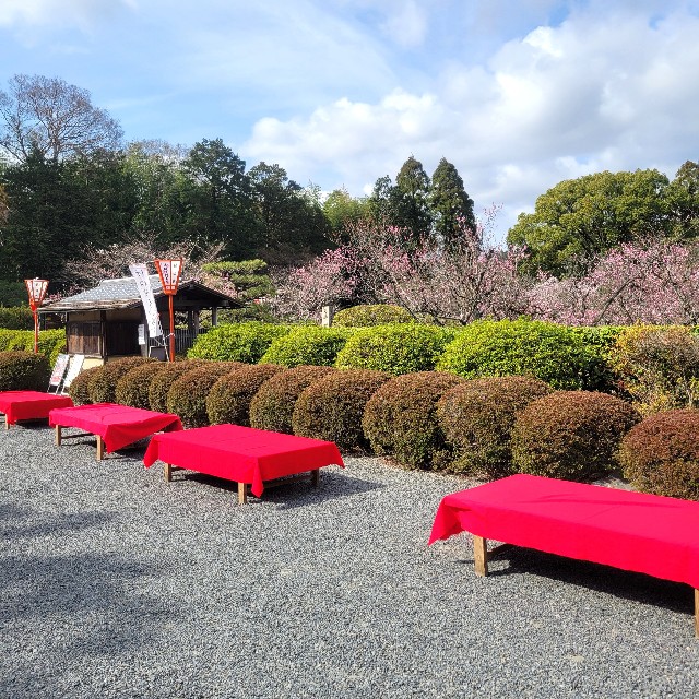 f:id:atoriatoriatori:20250401131957j:image