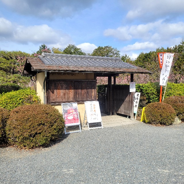 f:id:atoriatoriatori:20250401132023j:image