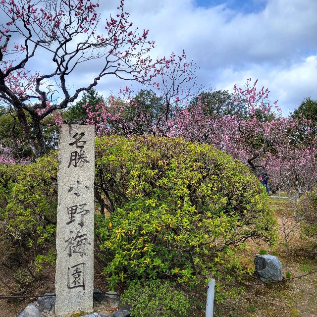 f:id:atoriatoriatori:20250401132805j:image